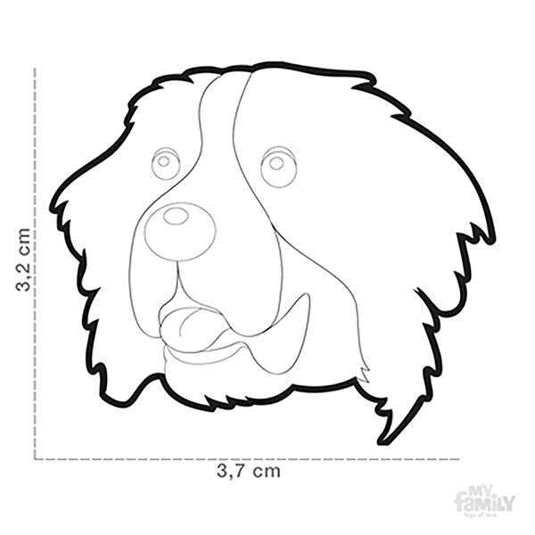 0027289_berner-dog-tag_400