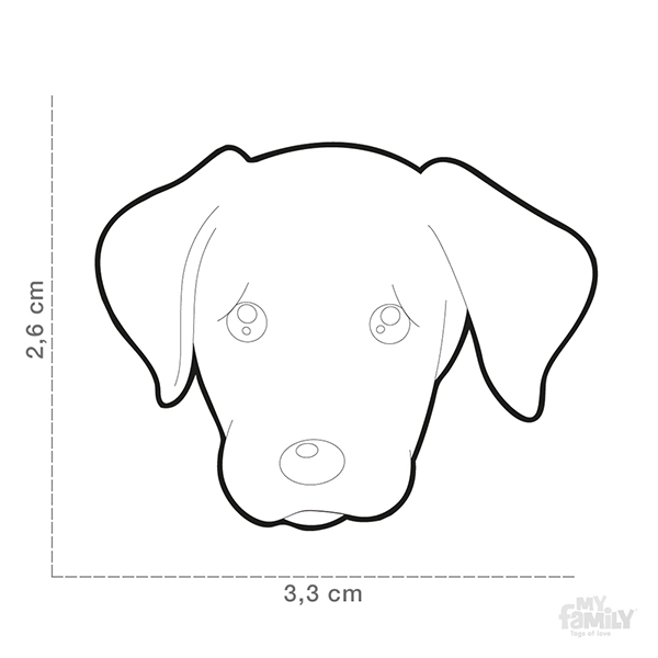 0027329_cream-labrador-id-dog-tag