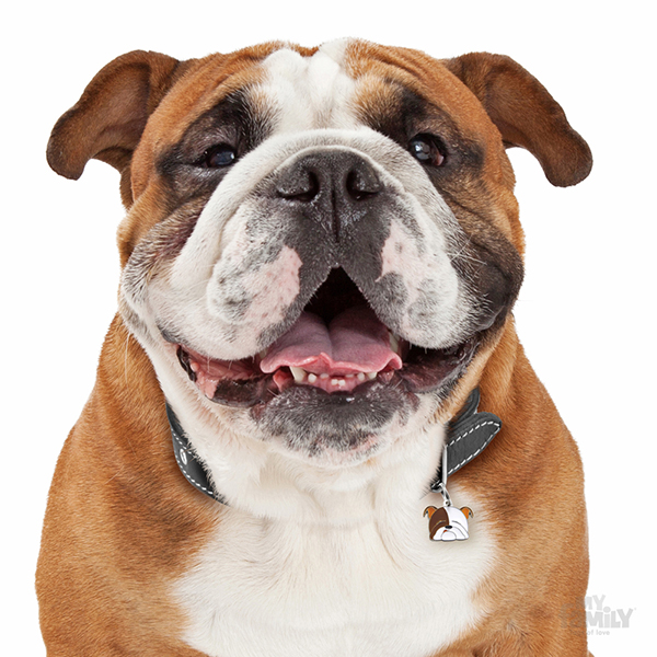 0027468_english-bulldog-dog-tag