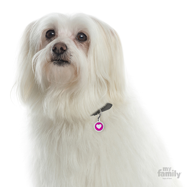 0027789_glam-heart-fuchsia-circle-strass-id-tag