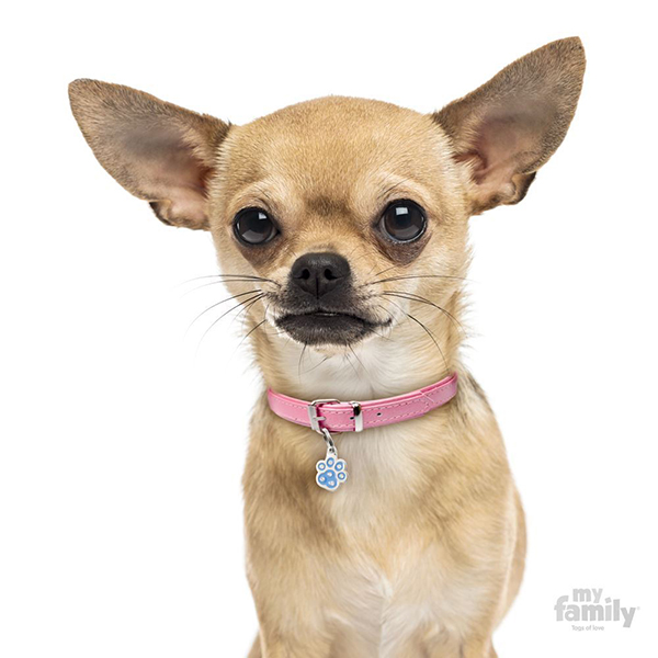 0028981_chic-blue-paw-strass-id-tag
