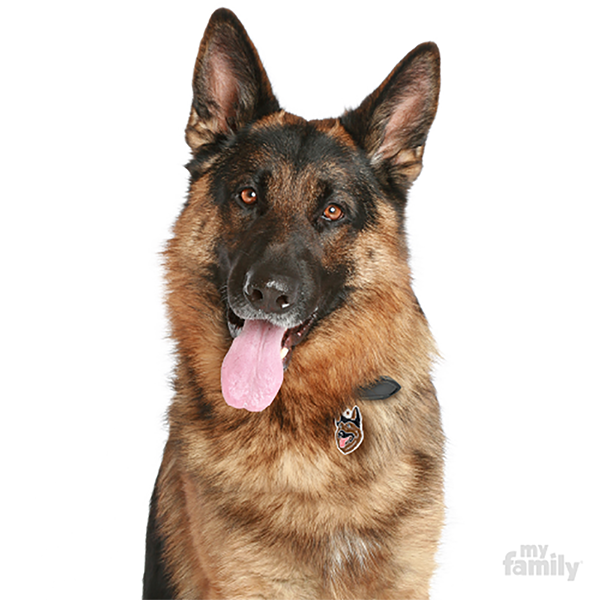 0029596_new-german-shepherd-id-dog-tag