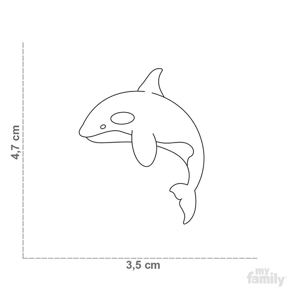 0029857_wild-tag-killer-whale