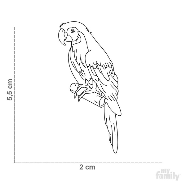 0029883_wild-tag-parrot