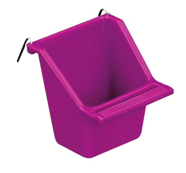 81850_LW_SeeCup_S_INT