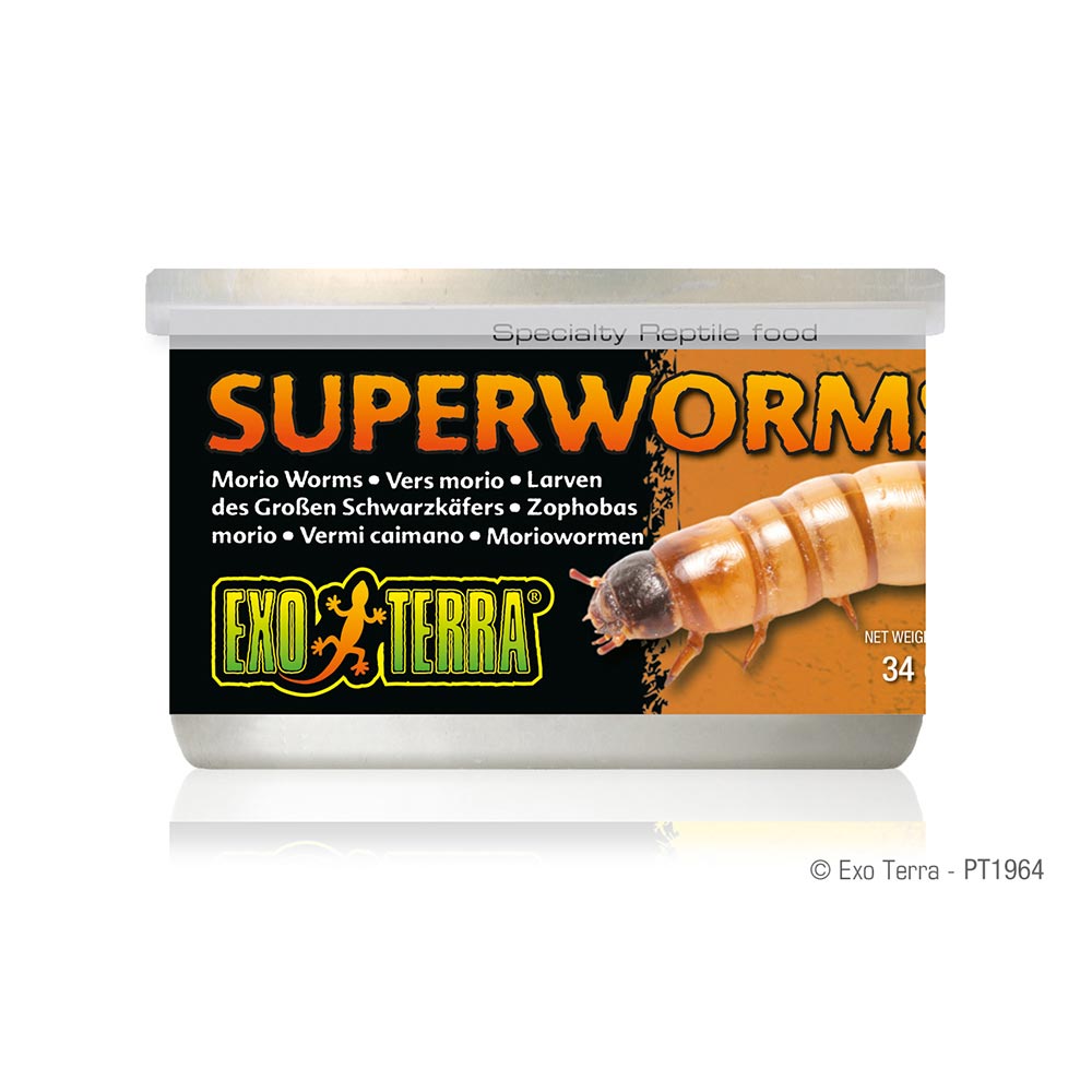 ExoTerra-PT1964-CannedFoodsSuperworms-7F-Int
