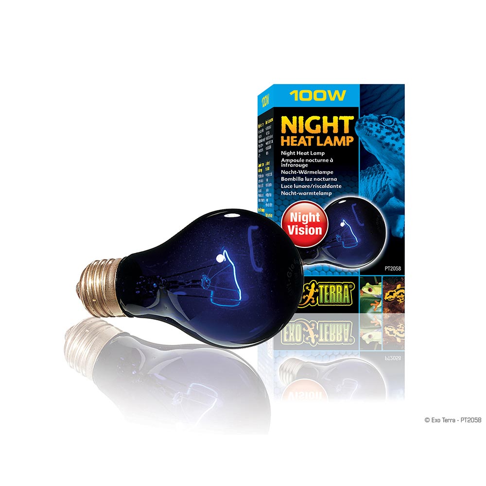 Exoterra-PT2058-NightHeatLampWithBulb-100W-1F-International