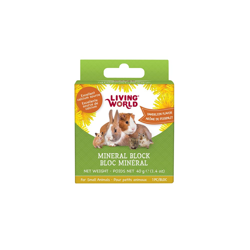LivingWorld-60497-SmAnimalMinBlockDandelion-1F-Int