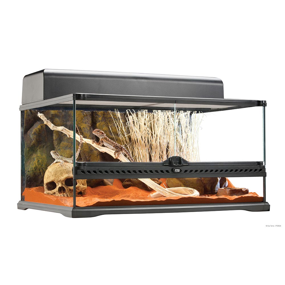 Terrarium En Verre Pour Petits Reptiles Et Amphibiens - Dimensions 30x20x17 Cm, Couvercle Grillagé | Pour Grenouilles, Araignées, Mantis, Grillons