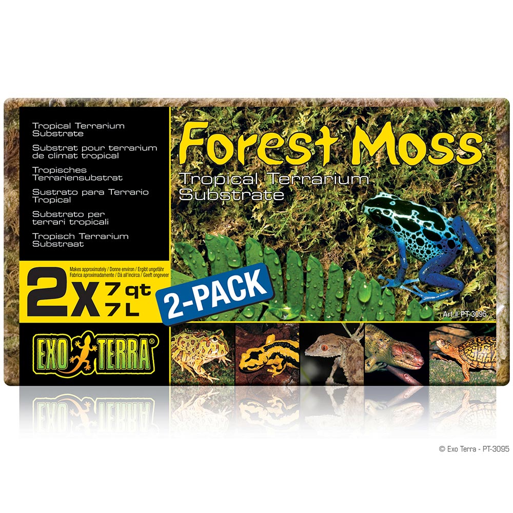 PT3095_Forest_Moss_Packaging