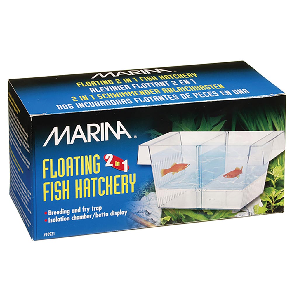 10931_MA_Hatchery_INT