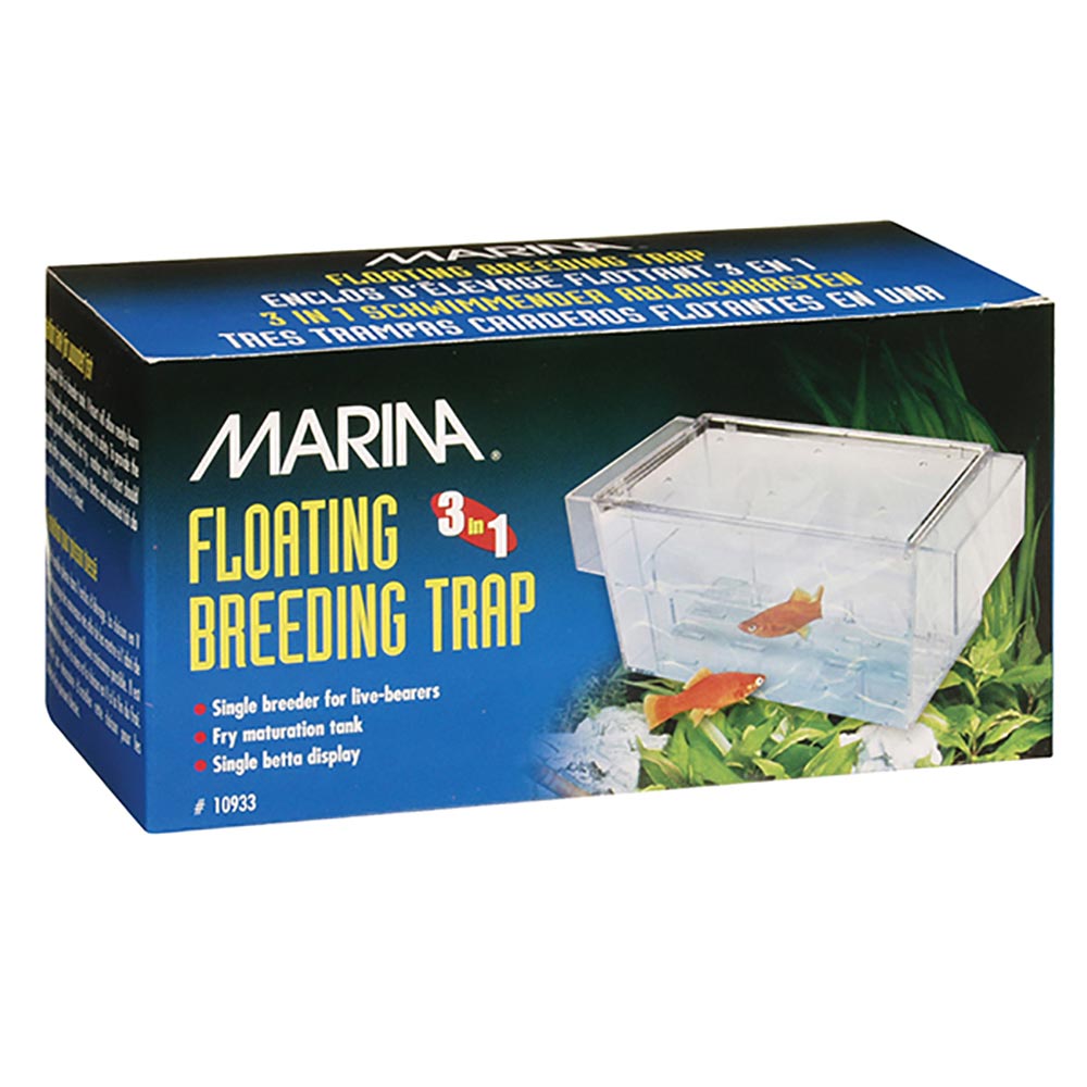 10933_MA_BreTra_INT