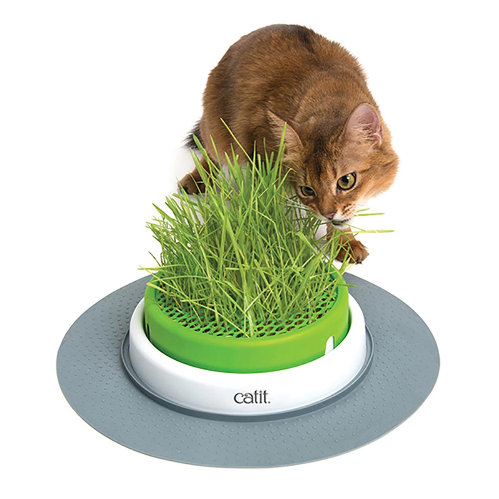 Catit-43161W-2.0SensesGrassPlanter-B-International