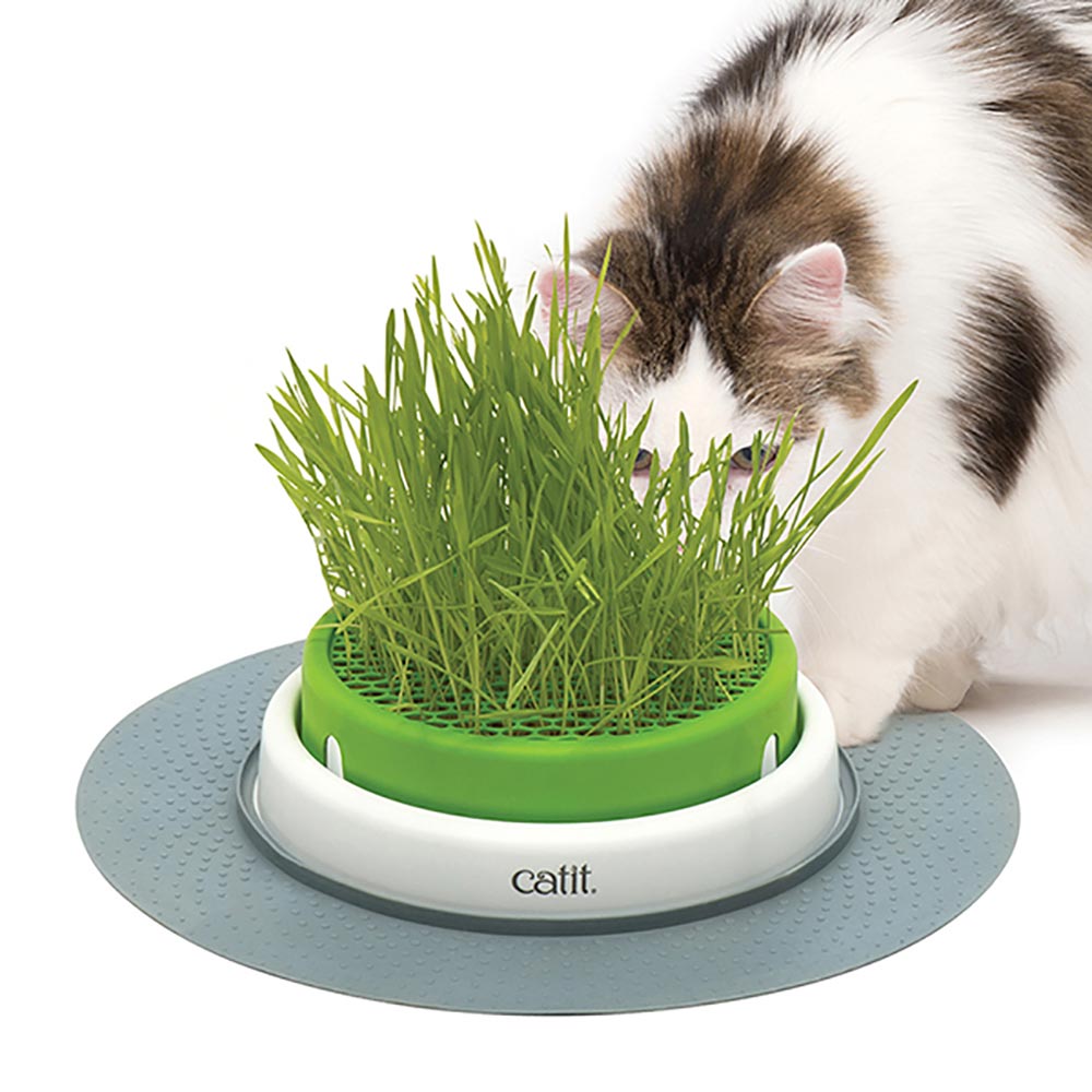 Catit-43161W-2.0SensesGrassPlanter-B1-International