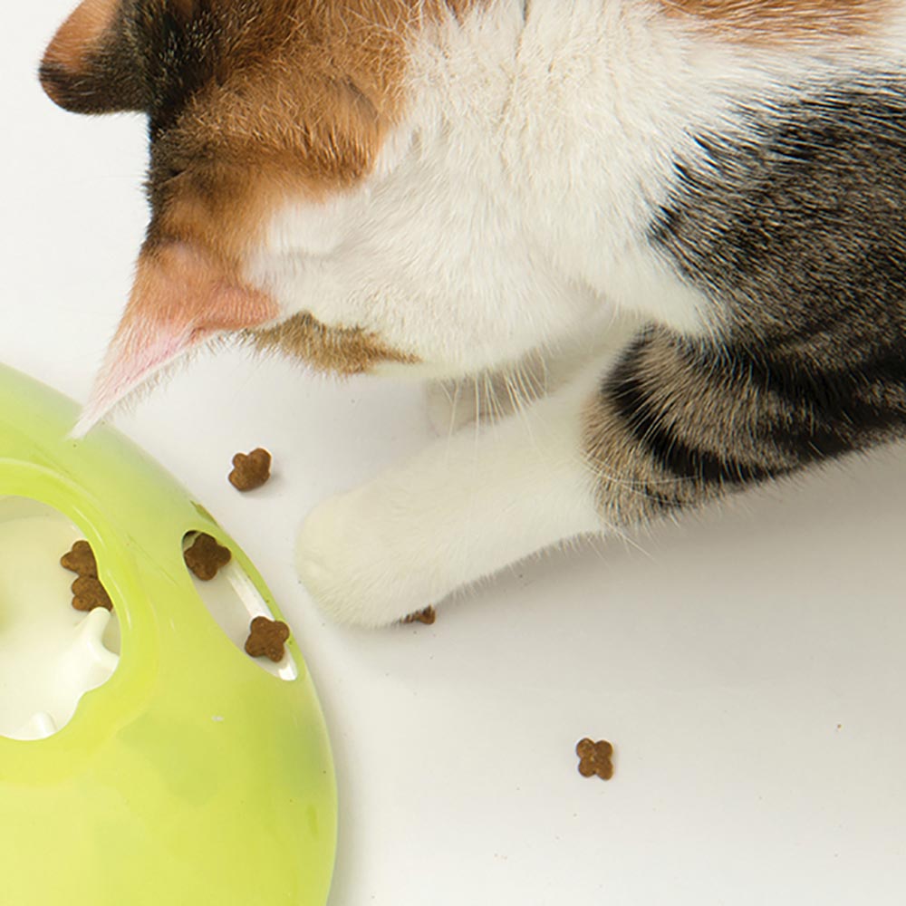 Catit-43750-TreatSpinner-B2-International