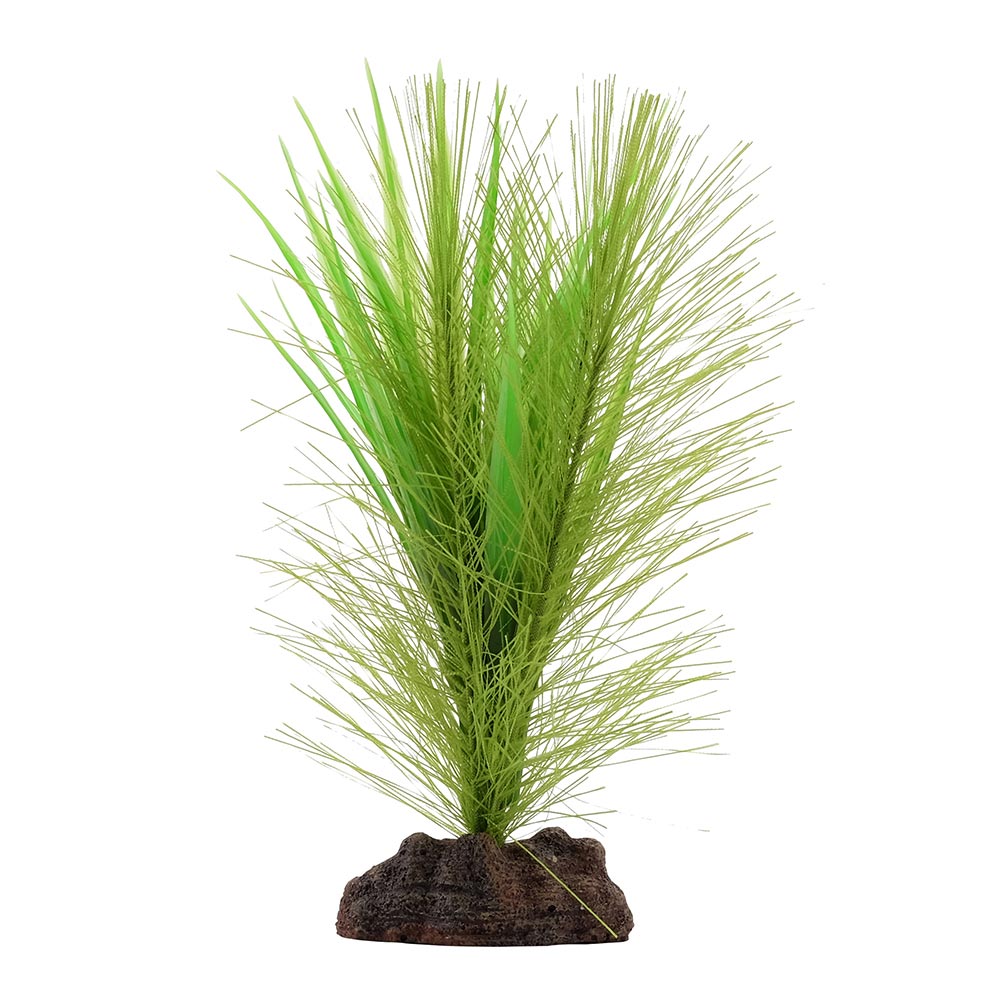 Fluval-PP1630-AqualifeVallisneriaPlant-P-Int