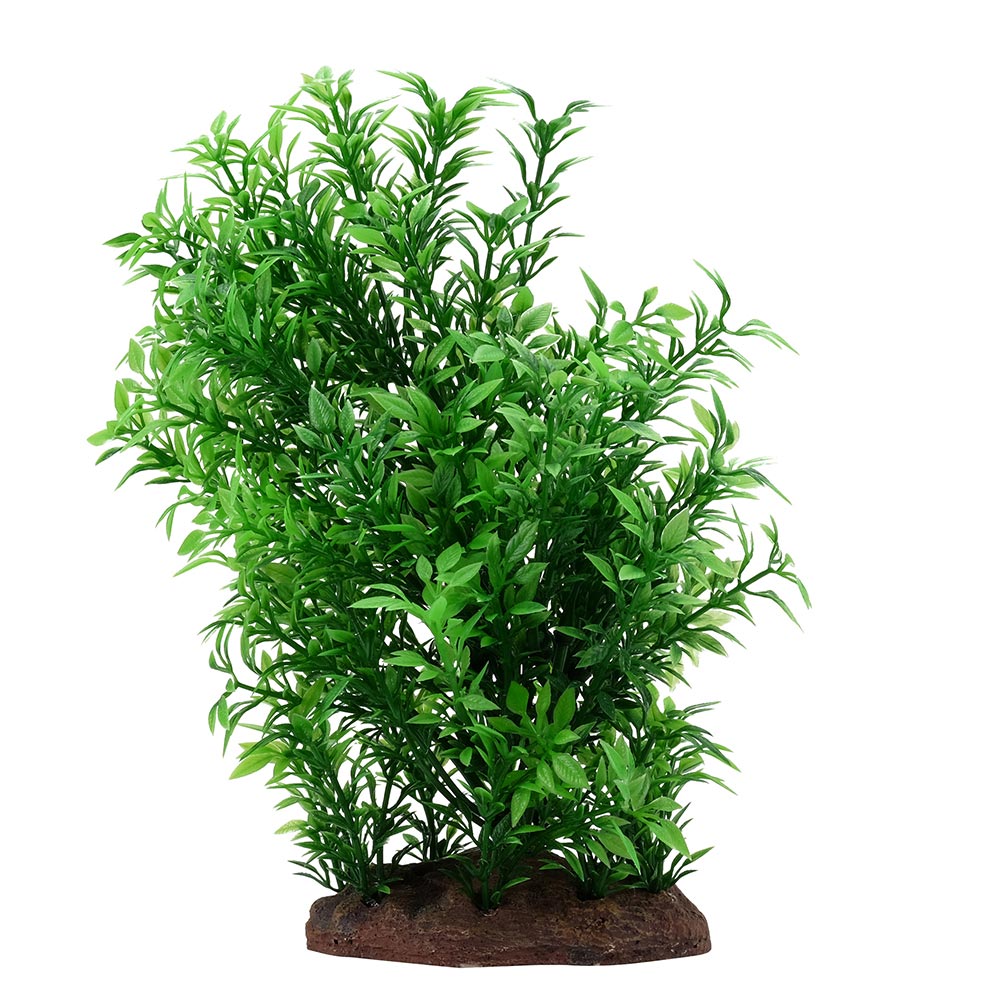 Fluval-PP1642-AqualifeSmallHelzinePlant-P-Int