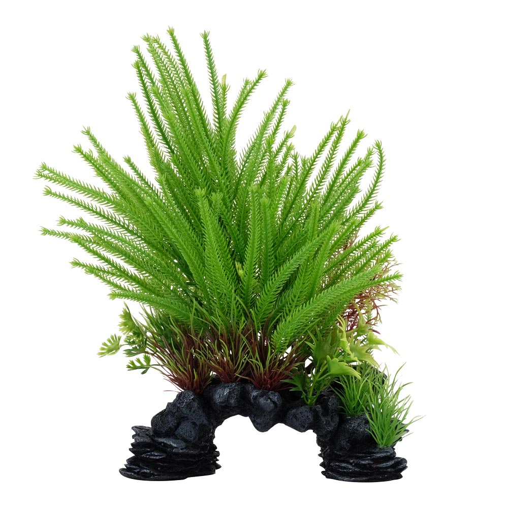 Fluval-PP1703-AqualifePrincessPine-P-Int