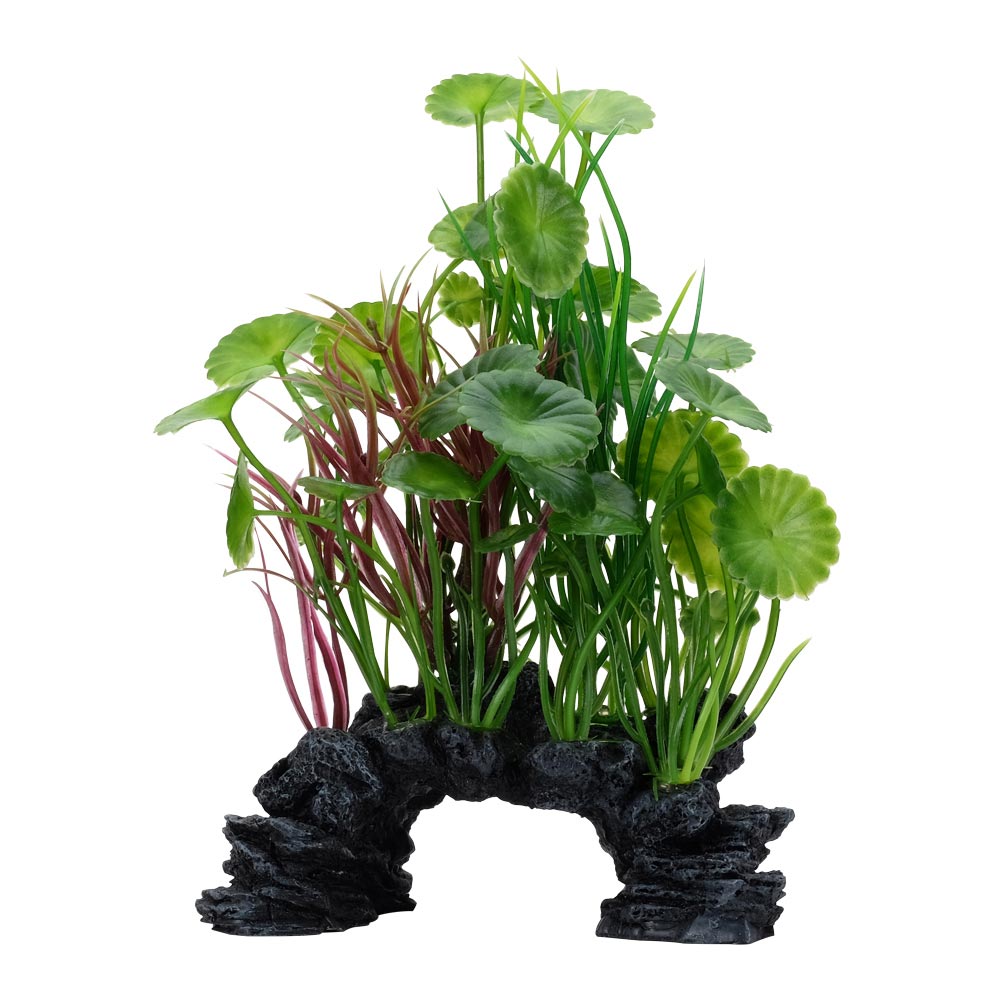 Fluval-PP1704-AqualifeGreenLysimachia-P-Int