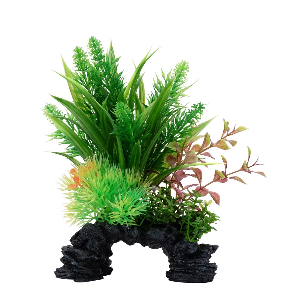 Fluval-PP1705-AqualifeLudwigiaSagittarius-P-Int