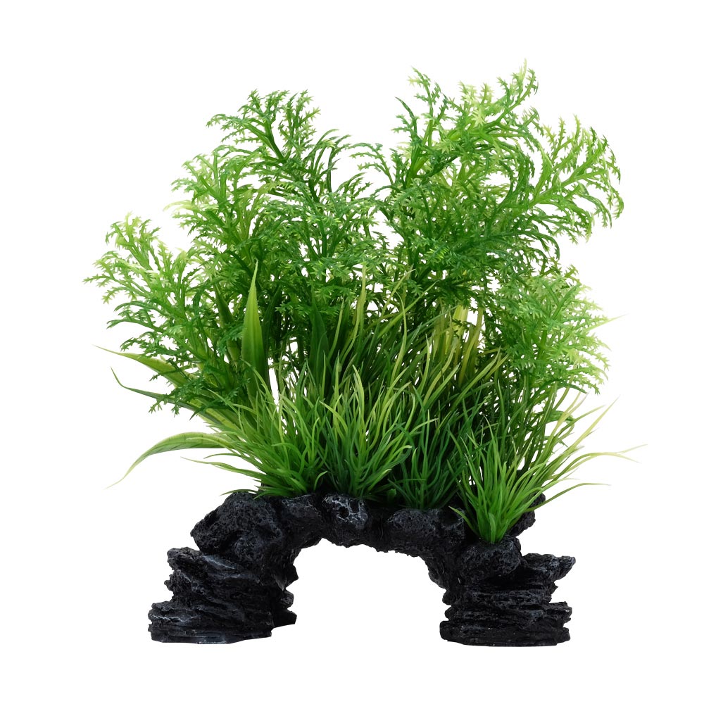 Fluval-PP1707-AqualifeWhiteTipHottonia-P-Int