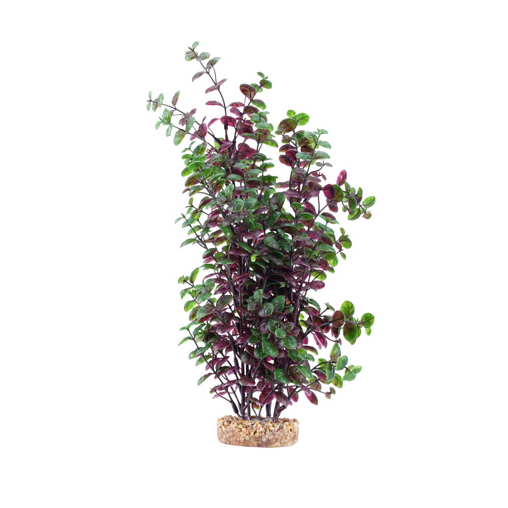 Fluval-PP1728-AqualifeRedBacopaPlant-P-Int