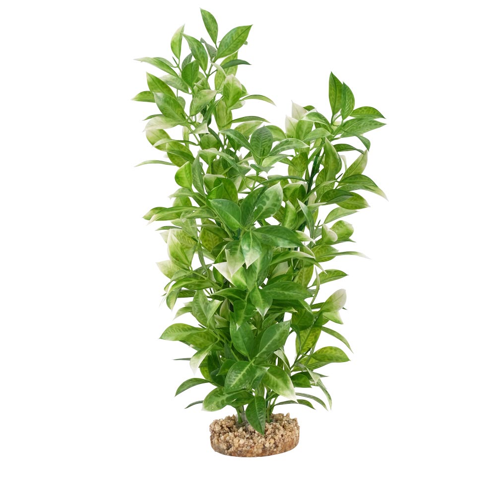Fluval-PP1734-AqualifeWhiteTipLudwigiaPlant-P-Int