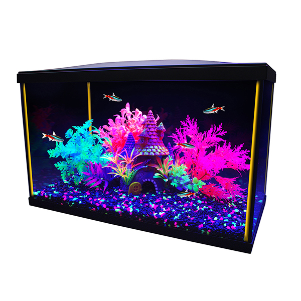 Aquarium équipé Marina iGlo, 19 L (5 gal US) BOUTIQUE D’ANIMAUX DRUMMOND