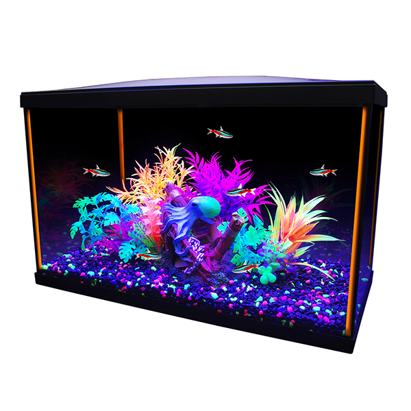 Aquarium équipé Marina iGlo, 38 L (10 gal US) BOUTIQUE D’ANIMAUX DRUMMOND
