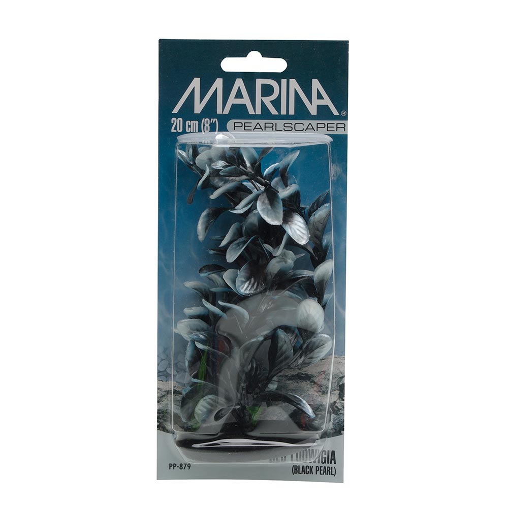 Marina-PP879-VibrascaperLudwigia-20cm-8in-6F-INT