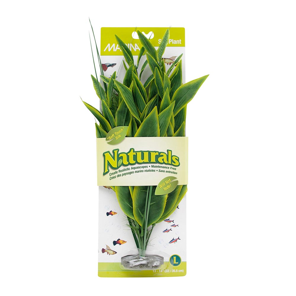 PP96_MA_Naturals_SilkPlant_GrnDracena_L_Pkg_Int