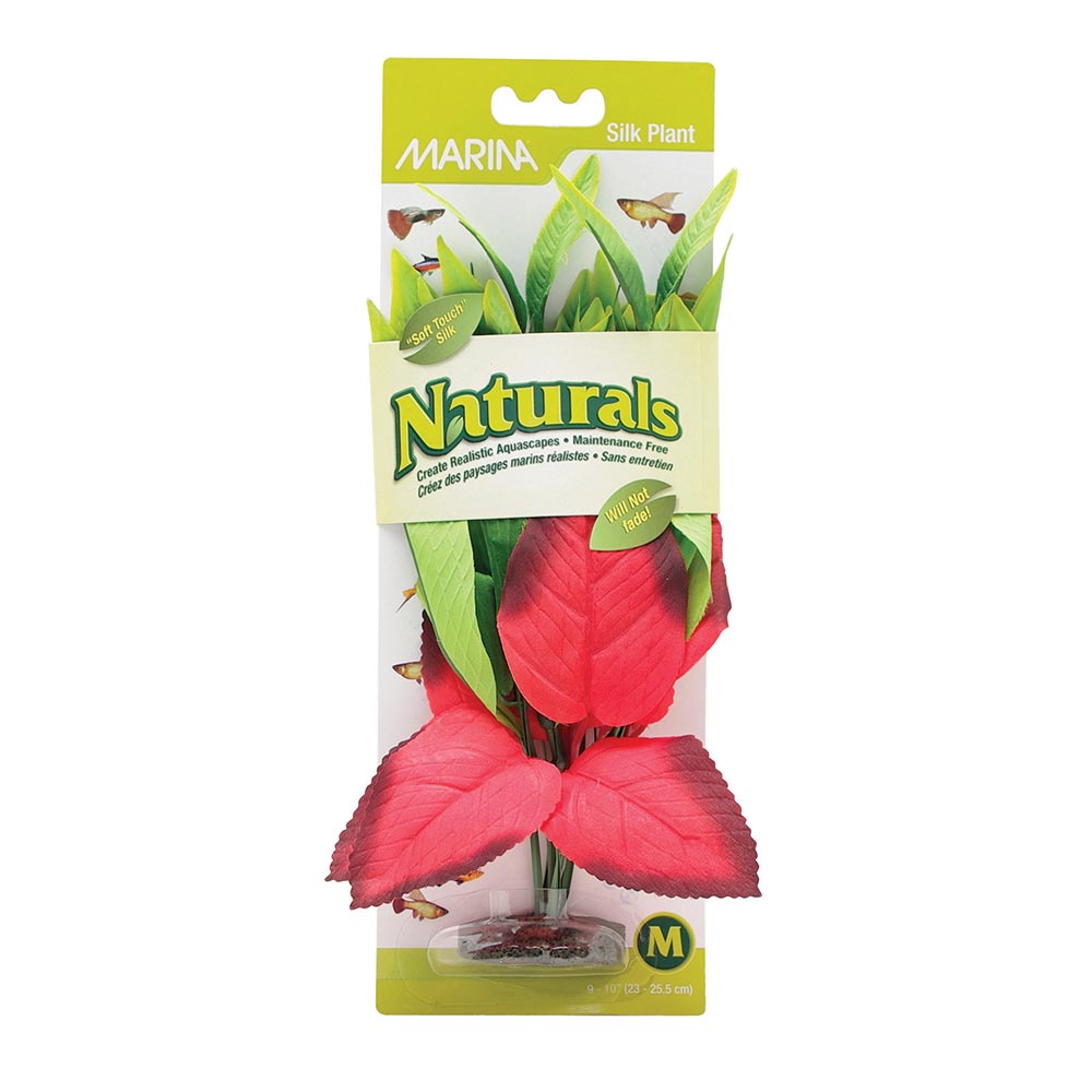 PP99_MA_Naturals_SilkPlant_RedGrnPickerel_M_Pkg_Int