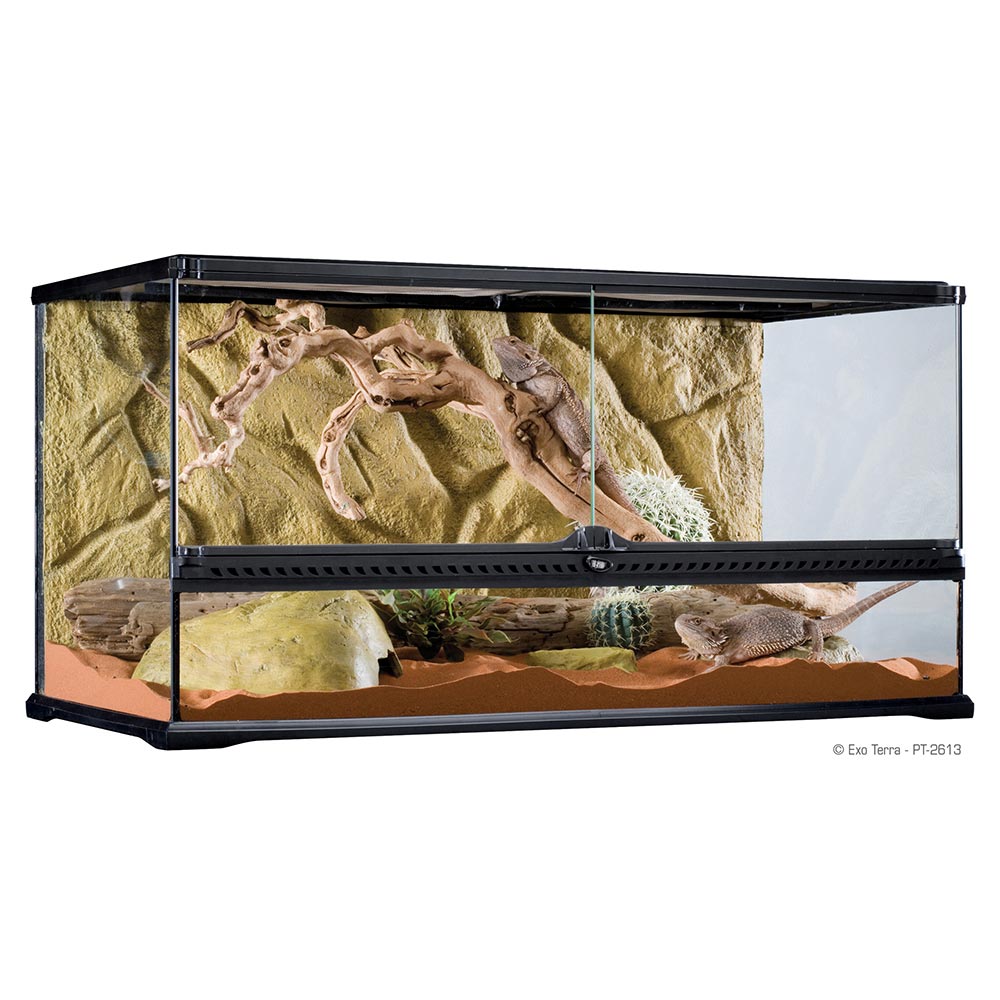 PT2613_Natural_Terrarium_Filled