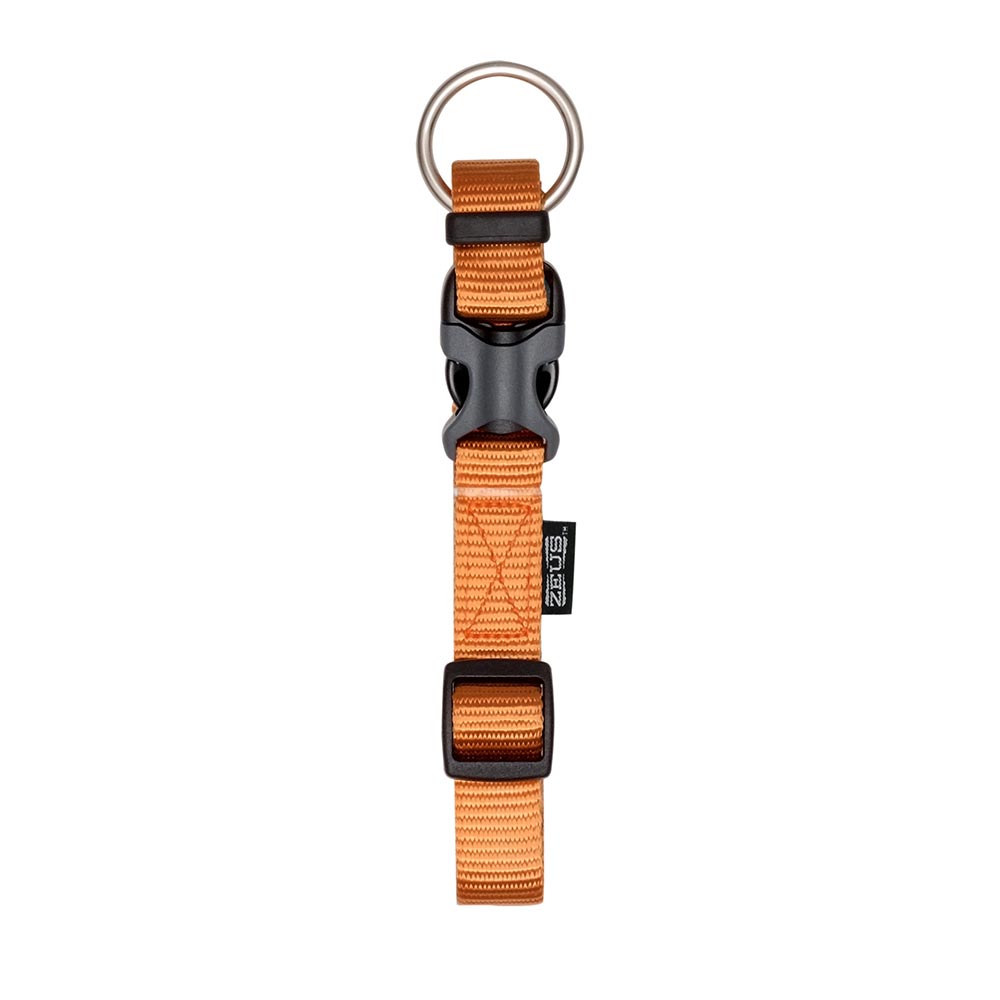 Zeus-99509-99519-99529-99539-AdjCollar-Tangerine-P-Int