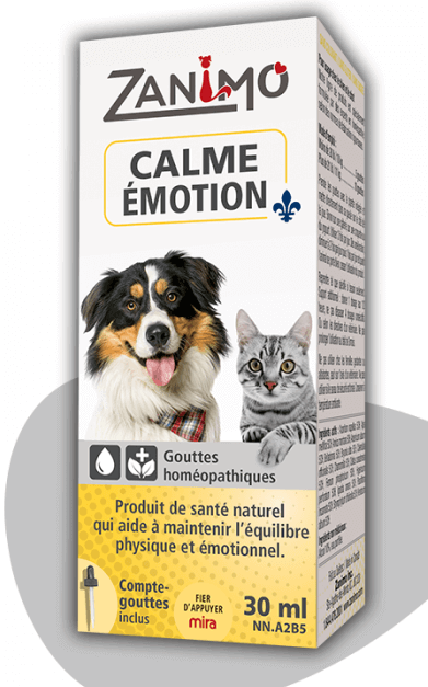 hcalme